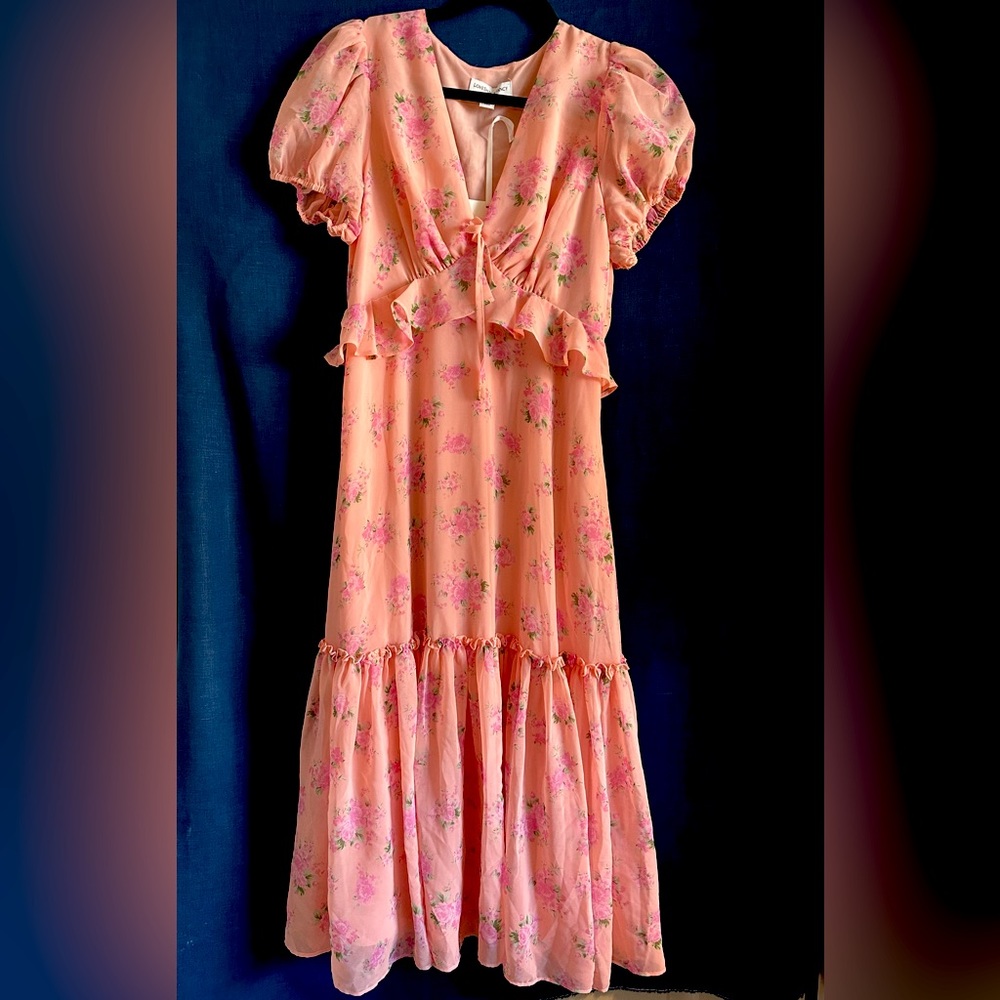 LoveShackFancy x Target NWT pink floral midi dress